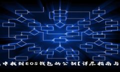 如何在TP钱包中找到EOS钱包的公钥?详尽指南与常