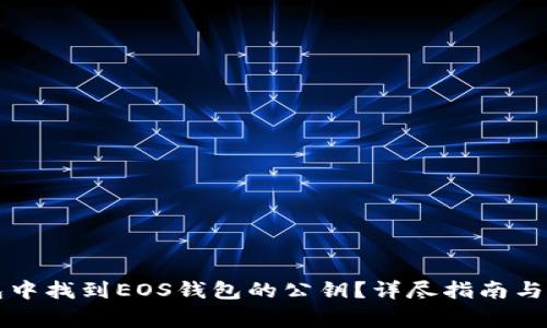 如何在TP钱包中找到EOS钱包的公钥?详尽指南与常见问题解答