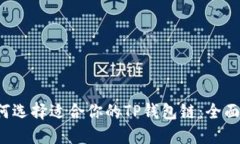 如何选择适合你的TP钱包链:全面指南