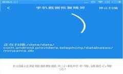 TP钱包:全面解析BSC链的优势与应用