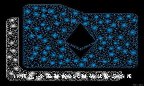 TP钱包:全面解析BSC链的优势与应用