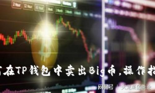 全面解析:如何在TP钱包中卖出Big币,操作指导与注意事项