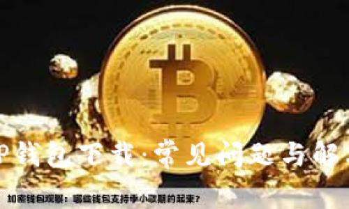 探秘TP钱包下载:常见问题与解决方案