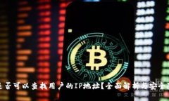 TP钱包是否可以查找用户的IP地址?全面解析与安