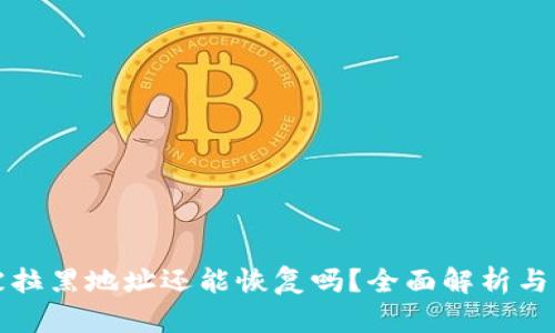 TP钱包被拉黑地址还能恢复吗?全面解析与解决方案