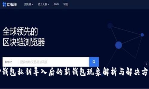 TP钱包私钥导入后的新钱包现象解析与解决方案