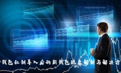 TP钱包私钥导入后的新钱包现象解析与解决方案