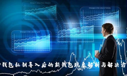 TP钱包私钥导入后的新钱包现象解析与解决方案