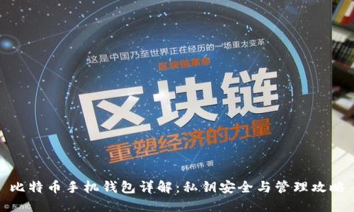 比特币手机钱包详解：私钥安全与管理攻略