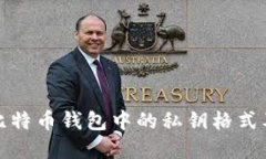 深入了解比特币钱包中的私钥格式及其安全性