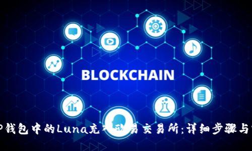 如何将TP钱包中的Luna充入欧易交易所:详细步骤与实用技巧
