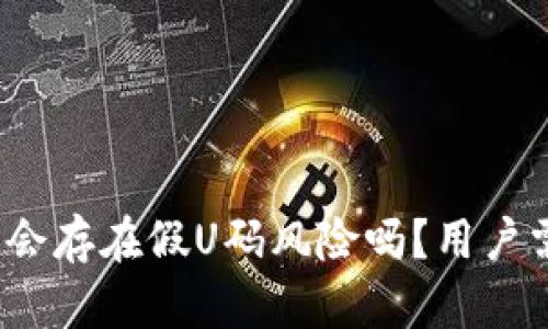 深入解析:TP钱包会存在假U码风险吗?用户需知的安全小贴士