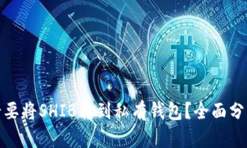 是否有必要将SHIB转到私有钱包？全面分析与建议