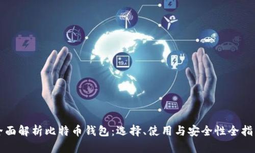 全面解析比特币钱包：选择、使用与安全性全指南