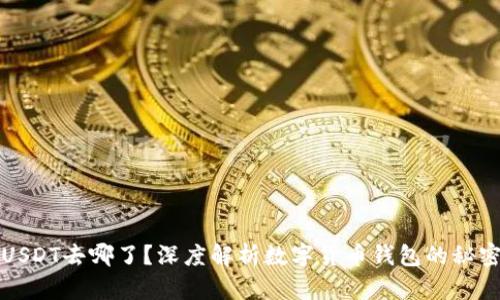 钱包里的USDT去哪了？深度解析数字货币钱包的秘密与安全性