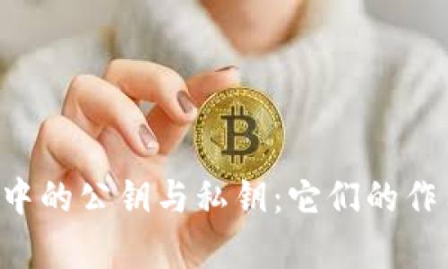 深入解析比特币钱包中的公钥与私钥：它们的作用、安全性及管理策略