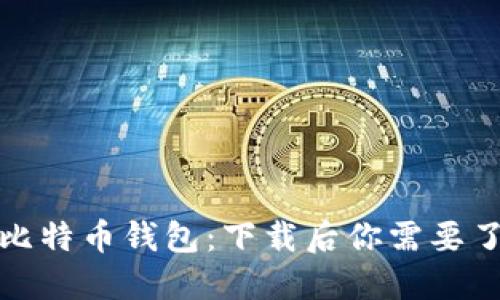 如何安全使用比特币钱包：下载后你需要了解的全部信息