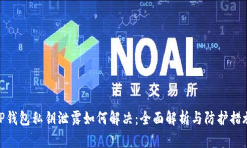 TP钱包私钥泄露如何解决：全面解析与防护措施