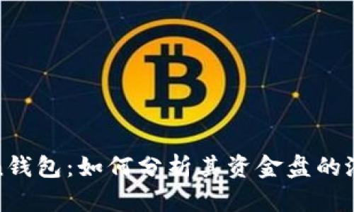 深入解析Token钱包：如何分析其资金盘的潜在风险与机会