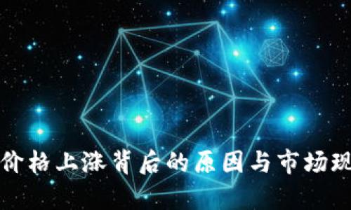 TP钱包价格上涨背后的原因与市场现状分析