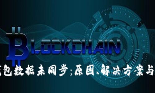 比特币钱包数据未同步：原因、解决方案与最佳实践