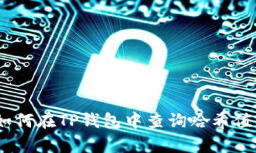 全面解析：如何在TP钱包中查询哈希值及其重要性