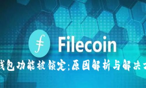 TP钱包功能被锁定：原因解析与解决方案