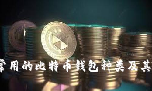 深入探讨：常用的比特币钱包种类及其优缺点分析