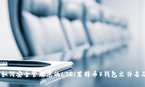 完整指南：如何安全管理您的LTC（莱特币）钱包文件名及其重要性