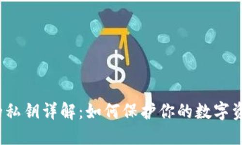 TP钱包的私钥详解：如何保护你的数字资产安全?
