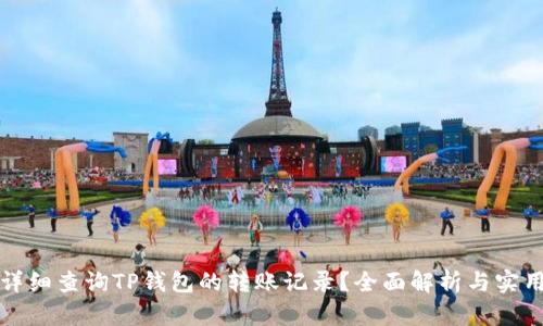 如何详细查询TP钱包的转账记录？全面解析与实用技巧