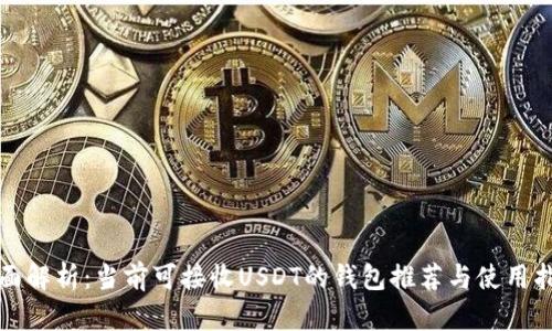 全面解析：当前可接收USDT的钱包推荐与使用指南