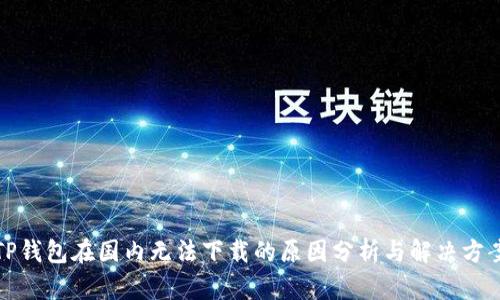 TP钱包在国内无法下载的原因分析与解决方案
