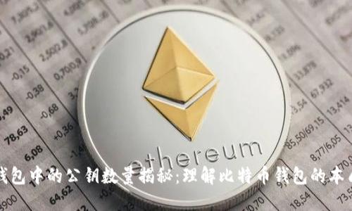 比特币钱包中的公钥数量揭秘：理解比特币钱包的本质与结构