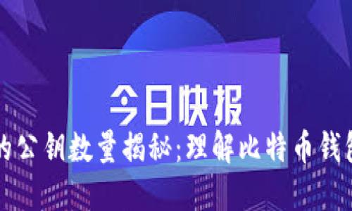比特币钱包中的公钥数量揭秘：理解比特币钱包的本质与结构