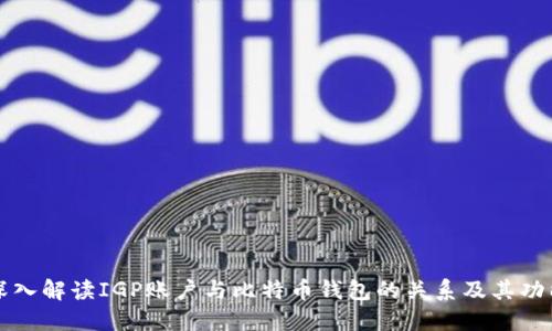 深入解读IGP账户与比特币钱包的关系及其功能