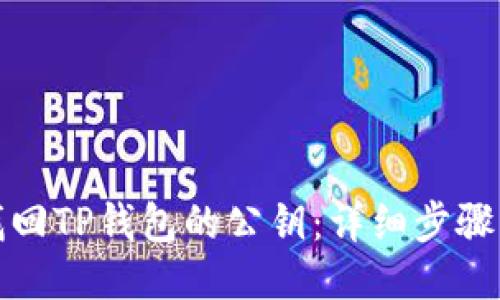 如何找回TP钱包的公钥：详细步骤与技巧