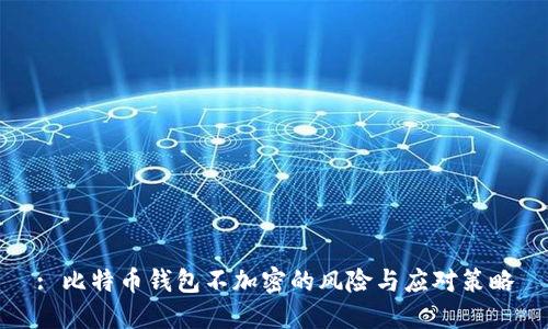 : 比特币钱包不加密的风险与应对策略