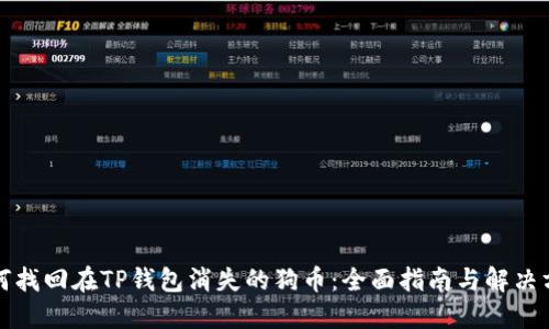 如何找回在TP钱包消失的狗币：全面指南与解决方案