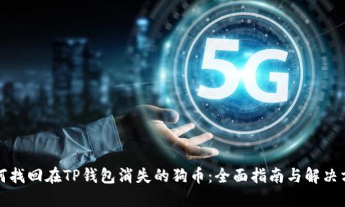 如何找回在TP钱包消失的狗币：全面指南与解决方案