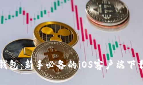 全面解析TP钱包：新手必备的iOS客户端下载与使用指南
