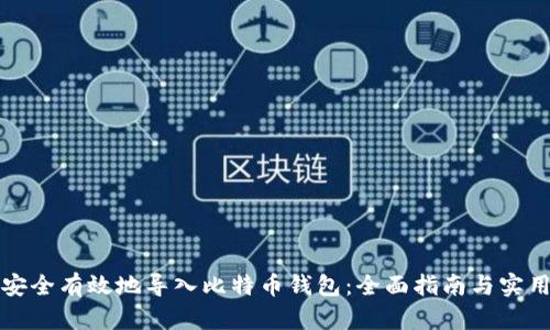 如何安全有效地导入比特币钱包：全面指南与实用技巧