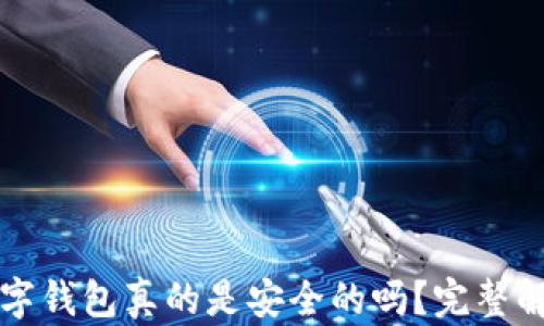 
比特币放在数字钱包真的是安全的吗？完整解析与风险评估