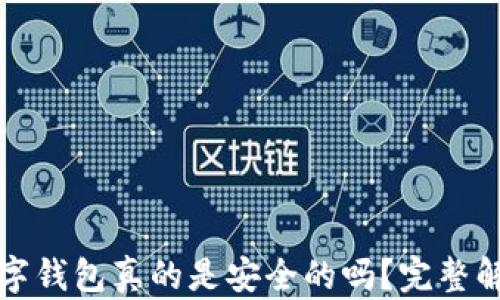 
比特币放在数字钱包真的是安全的吗？完整解析与风险评估