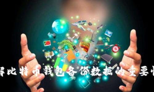 全面了解比特币钱包备份数据的重要性与方法