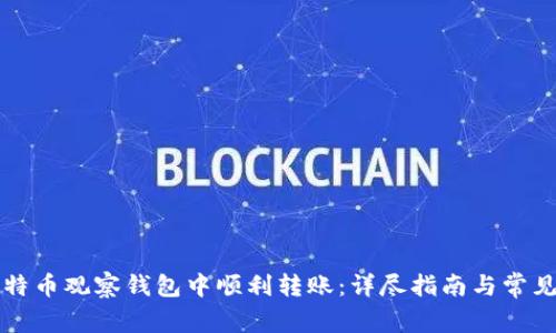 如何在比特币观察钱包中顺利转账：详尽指南与常见问题解析