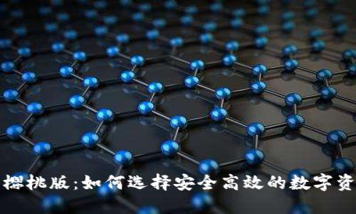 揭秘TP钱包樱桃版：如何选择安全高效的数字资产管理工具