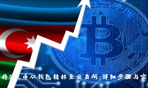: 如何将SOL币从钱包转移至交易所：详细步骤与实用技巧
