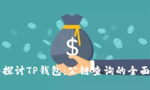 深入探讨TP钱包：公链查询的全面指南