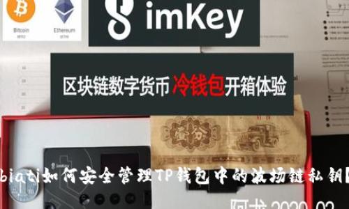 biati如何安全管理TP钱包中的波场链私钥？